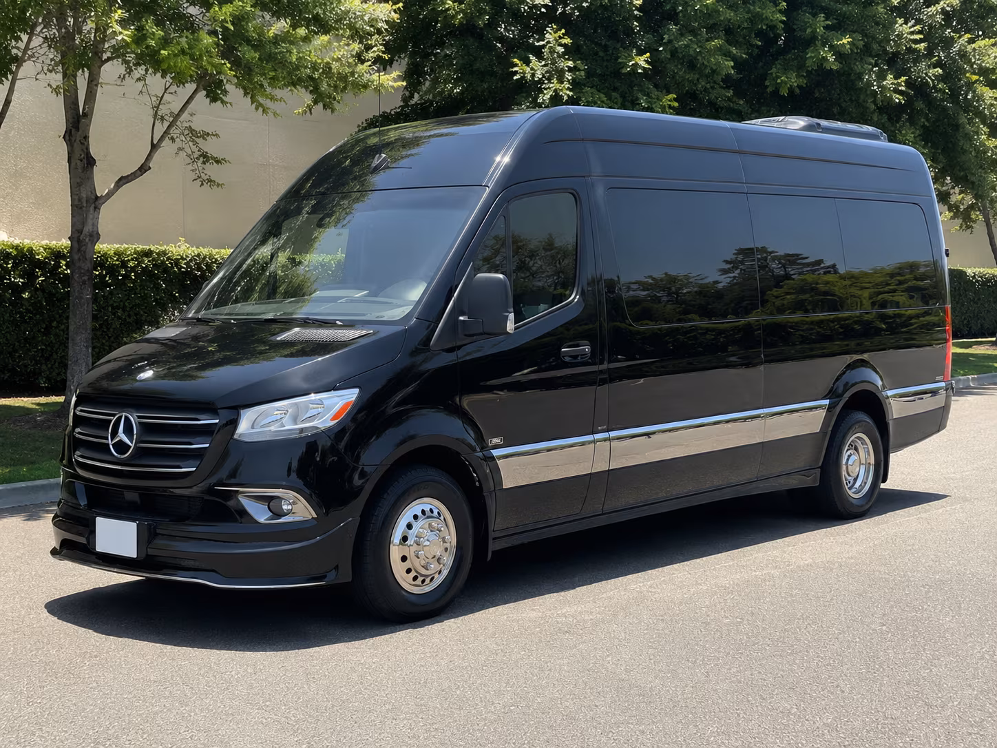 honolulu sprinter van with driver